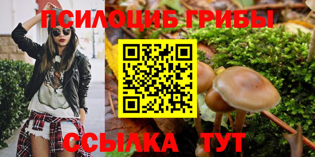 Псилоцибиновые грибы Psilocybine cubensis  Вход с VPN  Галлюциногенные грибы мицелий  Холмск 